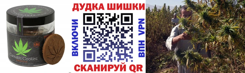 как найти   Щигры  Canna-Cookies марихуана 