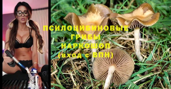 mdpv Алексин